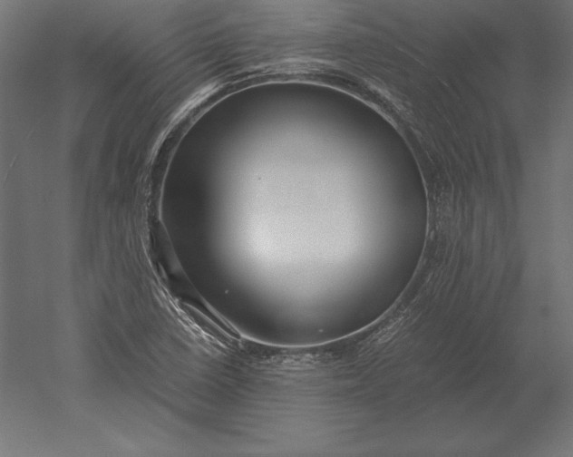 X0000051271410200507011733
