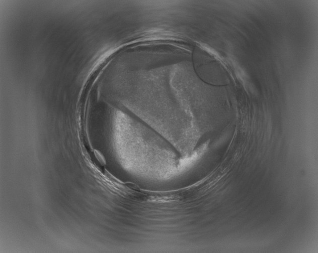 X0000051271415200507011733