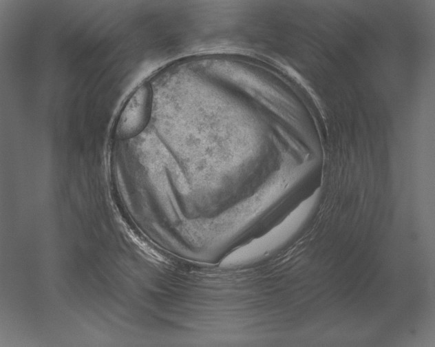 X0000051271416200507011733
