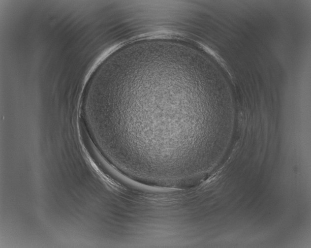 X0000051271418200507011733