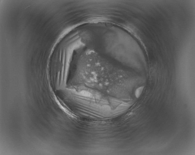 X0000051271429200507011733