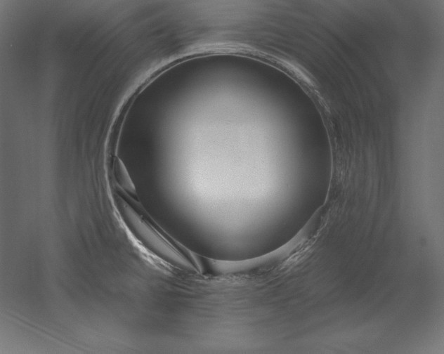X0000051271430200507011733