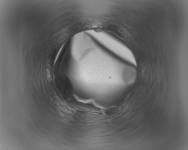 X0000051271442200507011732