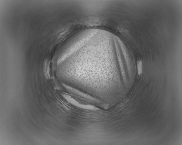 X0000051271444200507011732