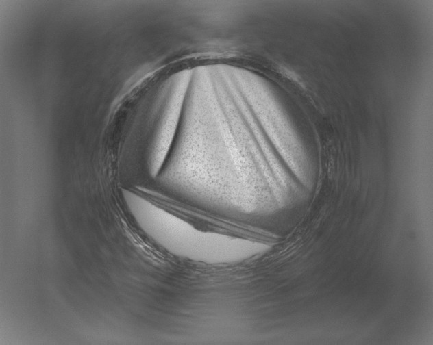 X0000051271448200507011732