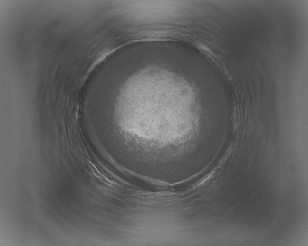 X0000051271449200507011732