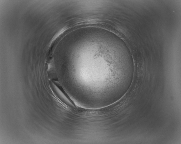 X0000051271450200507011732