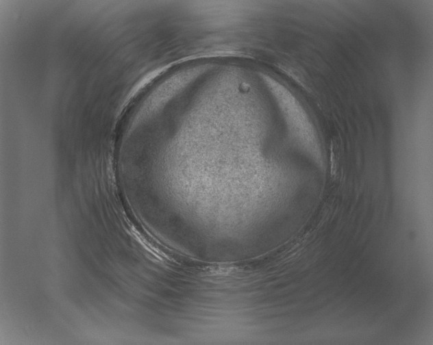 X0000051271452200507011732