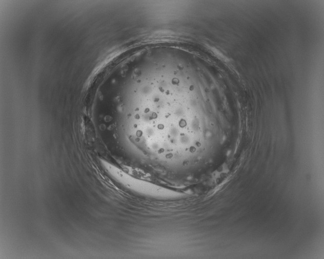 X0000051271453200507011732