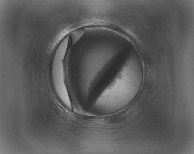X0000051271455200507011732