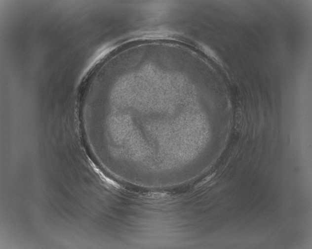 X0000051271456200507011732