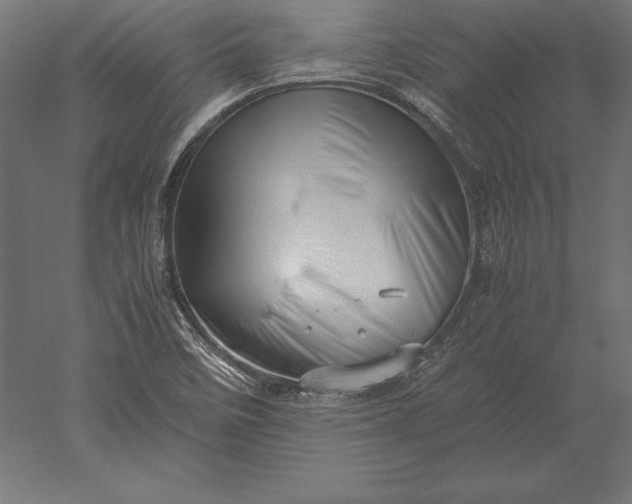 X0000051271458200507011732