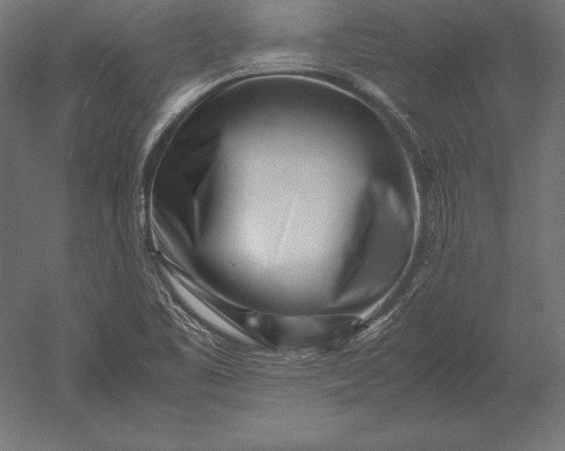 X0000051271461200507011732