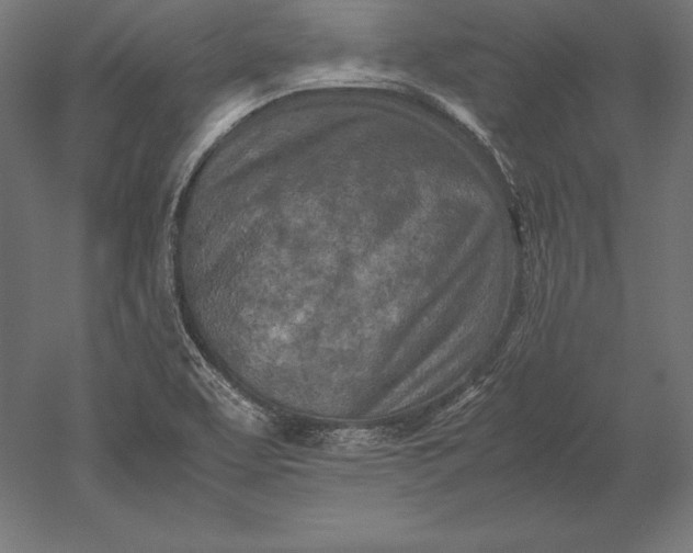 X0000051271463200507011732