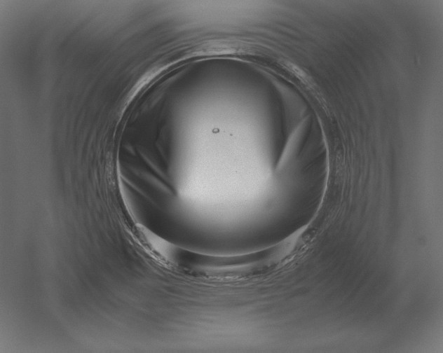 X0000051271465200507011732