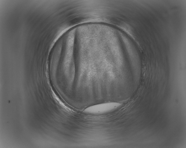 X0000051271468200507011732