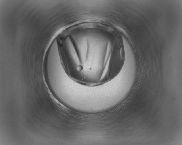 X0000051271471200507011732