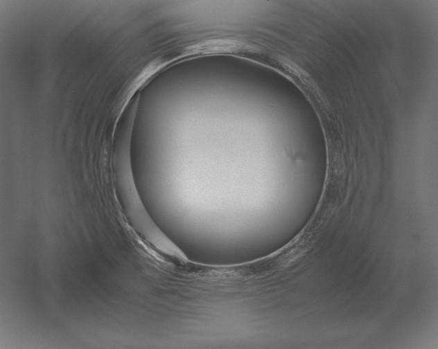 X0000051271473200507011732