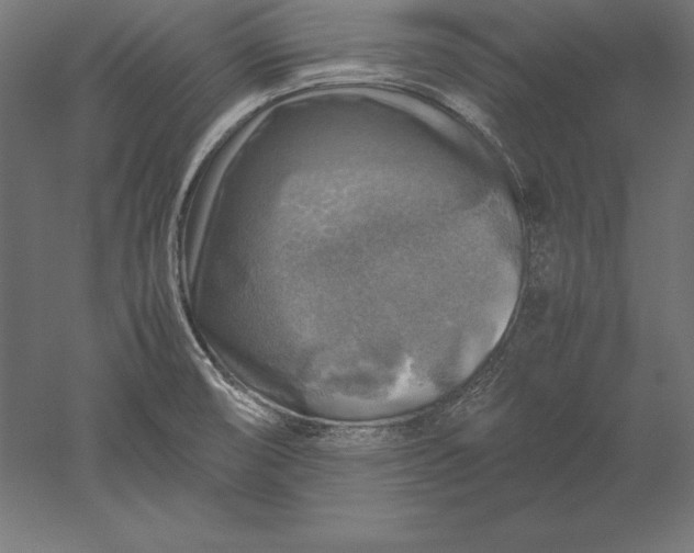 X0000051271474200507011732