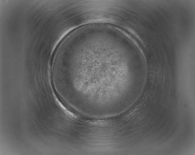 X0000051271476200507011732