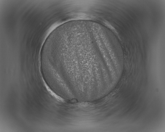 X0000051271479200507011732