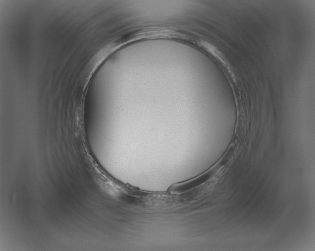 X0000051271481200507011732