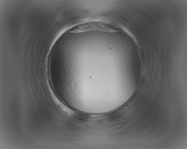 X0000051271483200507011732