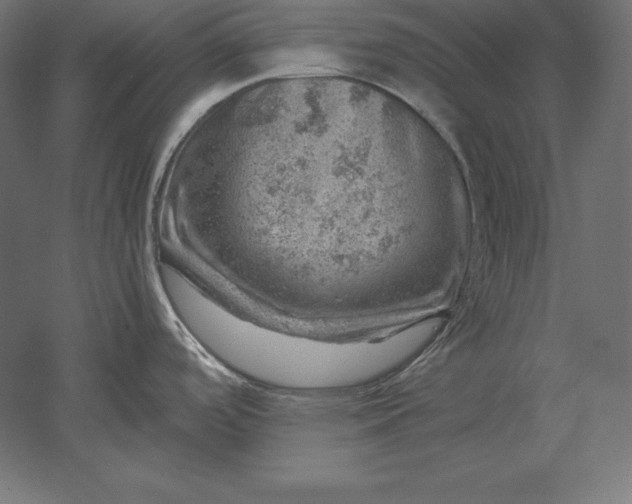 X0000051271488200507011732