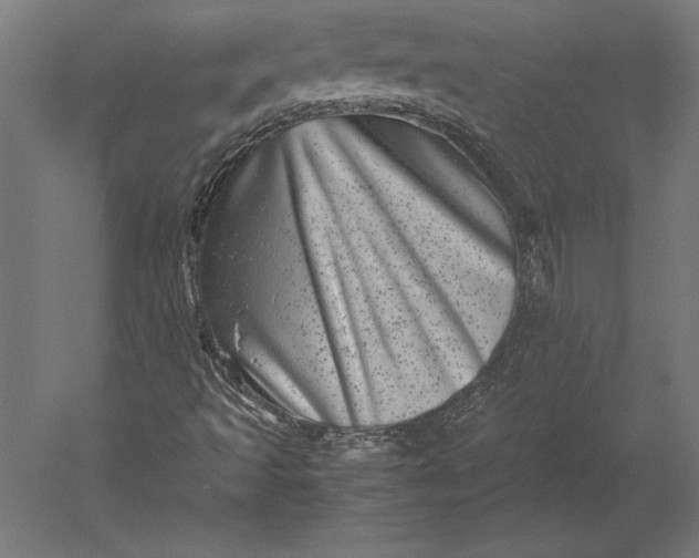 X0000051271493200507011731