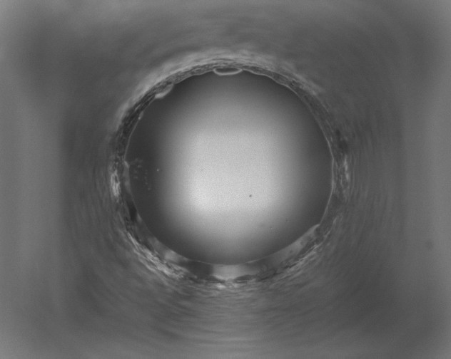 X0000051271496200507011731