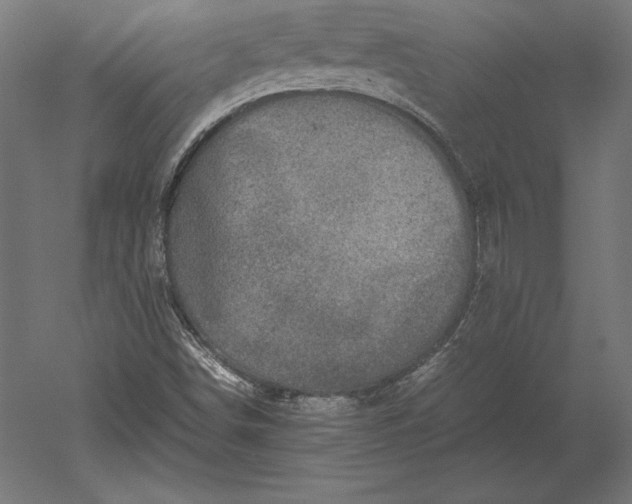 X0000051271498200507011731