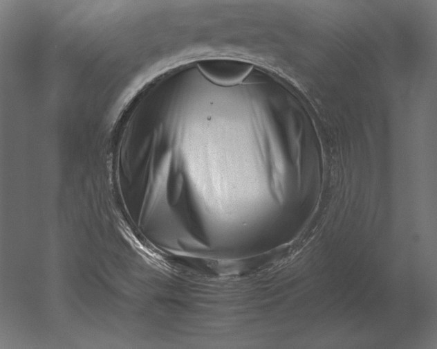 X0000051271503200507011731