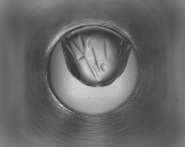 X0000051271504200507011731