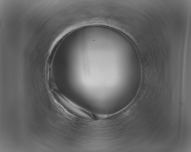 X0000051271510200507011731