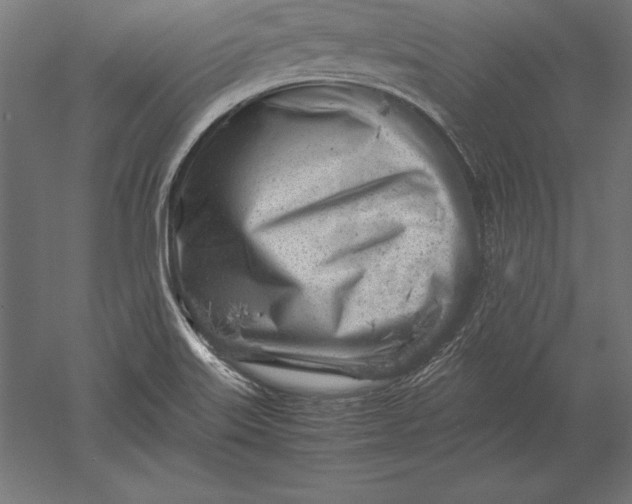 X0000051271515200507011731