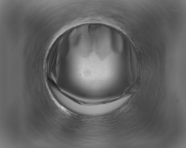 X0000051271519200507011731