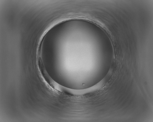 X0000051271520200507011731