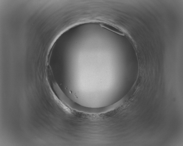 X0000051271524200507011731