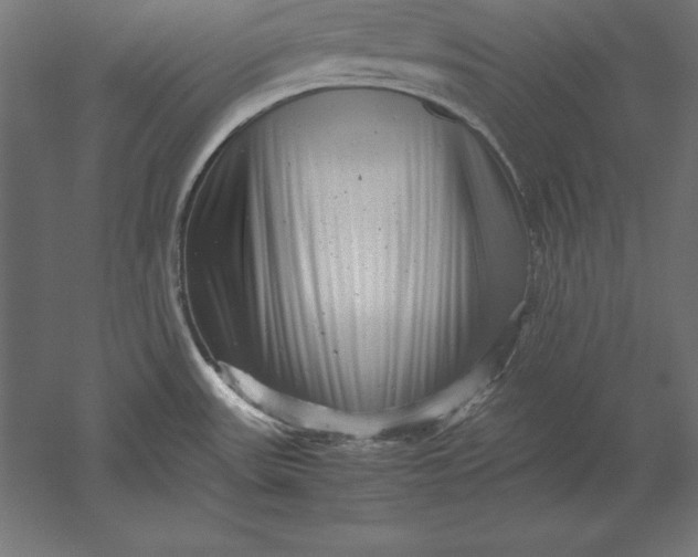 X0000051271531200507011731