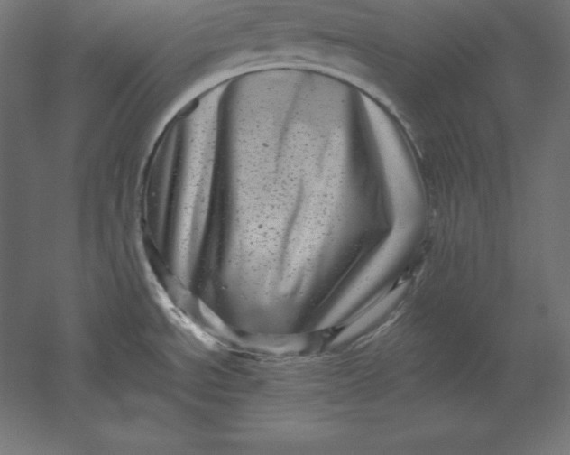 X0000051271534200507011731