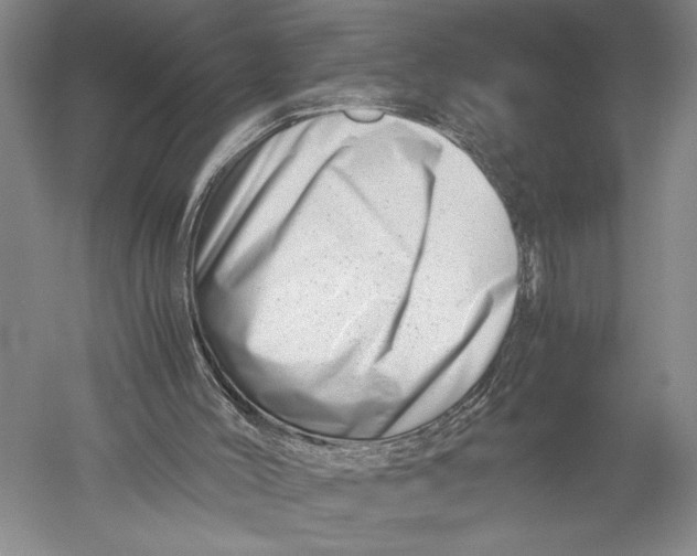X0000051270004200507082255