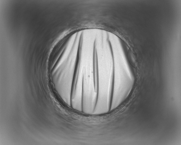 X0000051270008200507082255