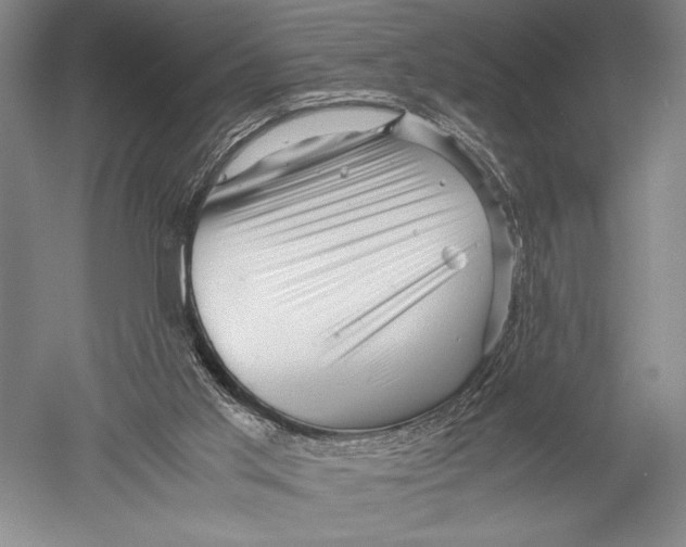 X0000051270013200507082255
