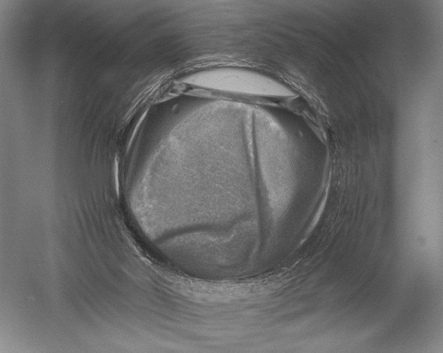 X0000051270014200507082255