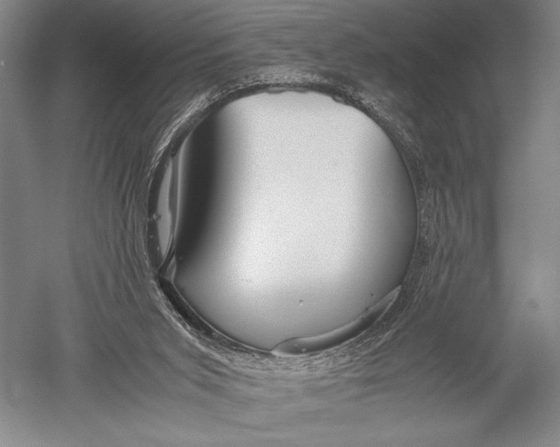 X0000051270015200507082255