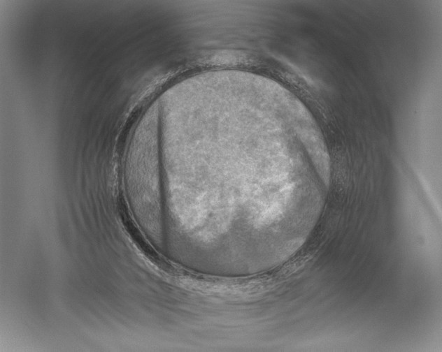 X0000051270016200507082255