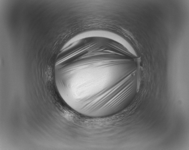 X0000051270025200507082255