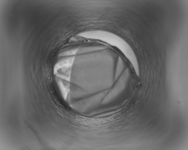 X0000051270031200507082254