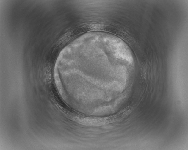 X0000051270032200507082254