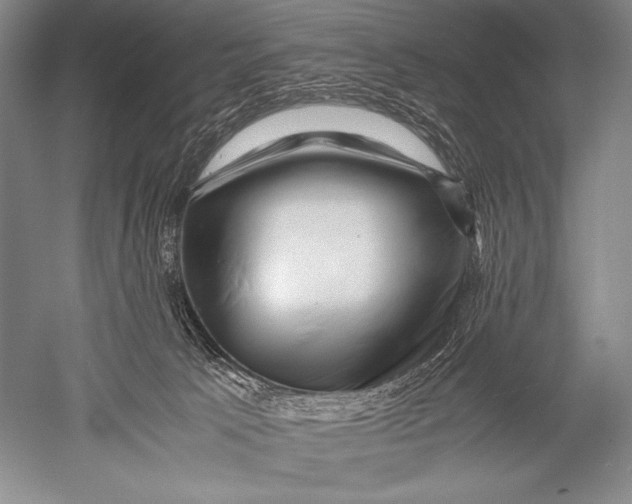 X0000051270033200507082254